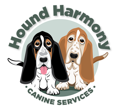 houndharmony.ca